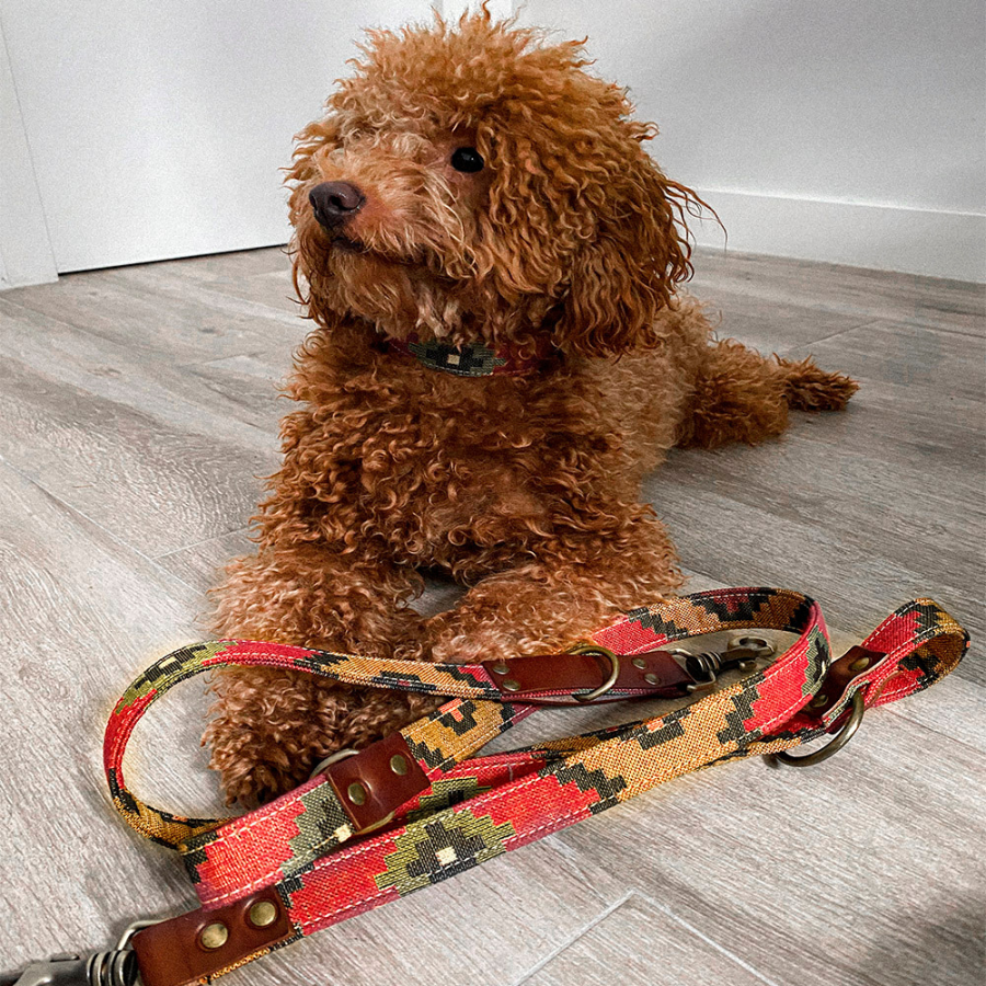 Ladran Gaucho Correa Scooby Doo hecha a mano para perros, , large Imagen numero 2